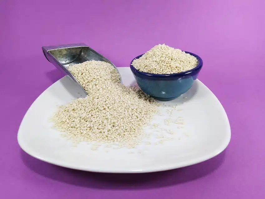 featured-dishes
